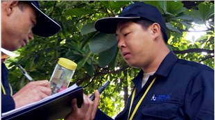 广州有百名“蚊子杀手”